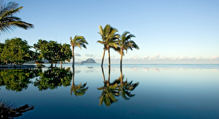 Mauritius Palmen spiegeln sich im Meer Foto MTPA Bamba